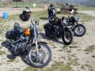 SDC11210mm.webp