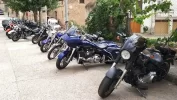 Mediterrani 2018.webp