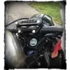 p.webp