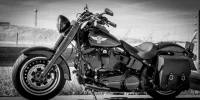 C90027C2-DFCE-4F3C-9735-3269F2C55B52.webp
