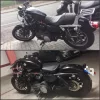 JARLI EVO.webp
