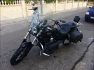 Harley 1.webp
