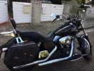 Harley 2.webp