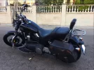 Harley 3.webp
