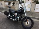 Harley 6.webp