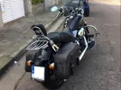Harley 4.webp