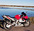 PicsArt_11-06-05.13.54.webp