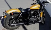 harley1.webp