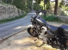 recortada.webp
