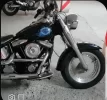 Screenshot_20190404-001922_Gallery.webp