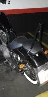 57390115_10218889580332197_1767506499753476096_n.webp