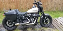 fatbob1.webp