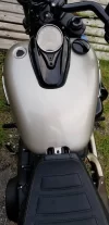 fatbob2.webp