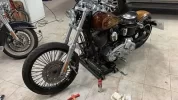 2019-03-10 15_opt.webp