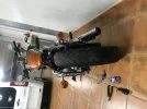 harley.webp