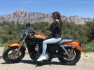 harley2.webp