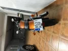 harley3.webp