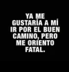 FB_IMG_1556647416742.webp