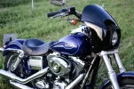 DSC_0454.webp