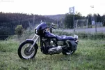 DSC_0460.webp