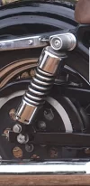 Screenshot_20190618-050127_Gallery.webp