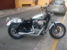 Harley.webp