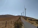 6849F723-A21D-45F2-B98F-3713871584A0.jpeg