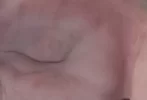 68375325_121847939136330_2347230890330947584_o.webp