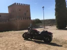 vrod.webp
