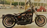 Harley Tonety 2019.webp