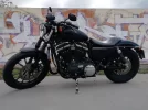 Harley.webp