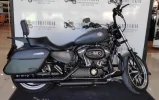 harley.webp