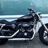 HARLEY.webp