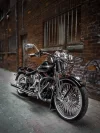 jimdavisphotography_54__1445a23ff7dfc9dd8cb31d00d469d54ba04f8741.webp