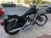 SPORTSTER.jpg