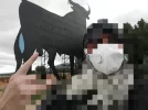 87893468_190366395617817_4068867302571900928_o.webp