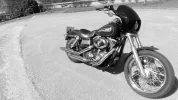 Low rider.jpg