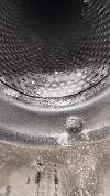 90543160_203303060990817_2781436153922846720_o.webp