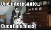 que-interesante-cuentame-más.webp