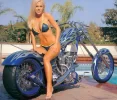 1585859085104.webp
