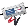 cargador-de-bateria-inverter-6-100-ah-sowell.webp