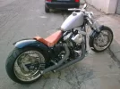 4040429_g.webp