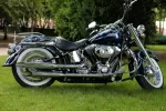 Harley 001.webp