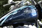 Harley 060.webp