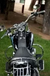 Harley 040.webp