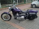 4443250_g.webp