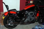 dsc0009f.webp