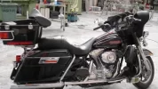 Harley 02.webp