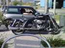Road king, manel.webp