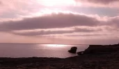 XA.webp